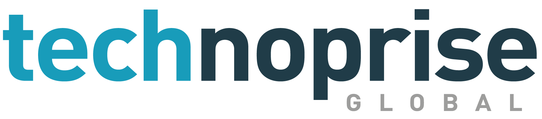 technoprise logo